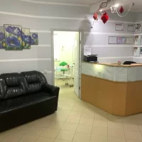 Скайс