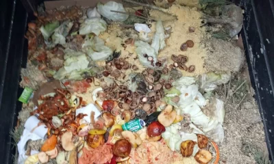 В Ярославле появился третий общественный компостер