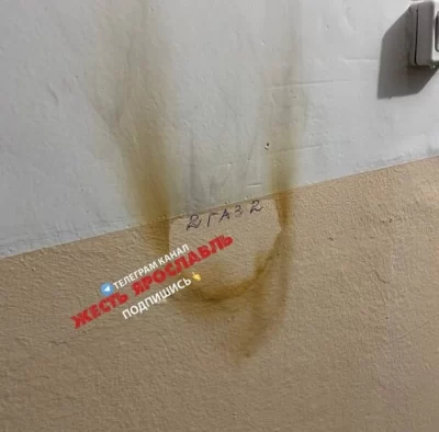 «Склонна к поджогам»: в Ярославле психически больная женщина терроризирует соседей