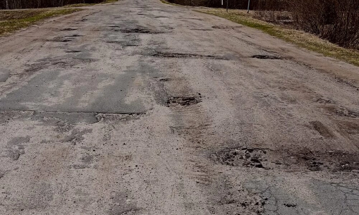 В Ярославской области водителя школьного автобуса предлагают наградить за фигурное вождение по ямам