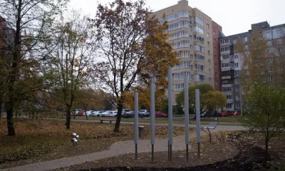 В Ярославле заволжан рассорили глюкофон и поющая грибница