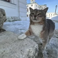 <br />
<b>Notice</b>:  Undefined variable: title_field in <b>/var/www/s246446/data/www/tutaev.city/templates/portal/controllers/content/widgets/list/list_news_custom.tpl.php</b> on line <b>21</b><br />
<br />
<b>Notice</b>:  Undefined index:  in <b>/var/www/s246446/data/www/tutaev.city/templates/portal/controllers/content/widgets/list/list_news_custom.tpl.php</b> on line <b>21</b><br />
