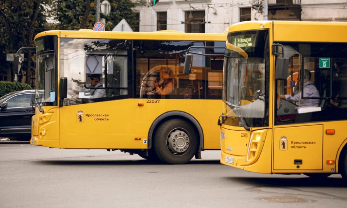 В Ярославле собираются протестировать ночные автобусные маршруты В Ярославле собираются протестировать ночные автобусные маршруты