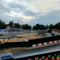 В Ярославле на стадионе &laquo;Спартаковец&raquo; высадят горные сосны