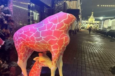 В Ярославле подано заявление в полицию об обезглавленном жирафе