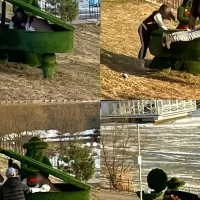 В Ярославской области сообщают о вандализме на набережной реки Солоницы