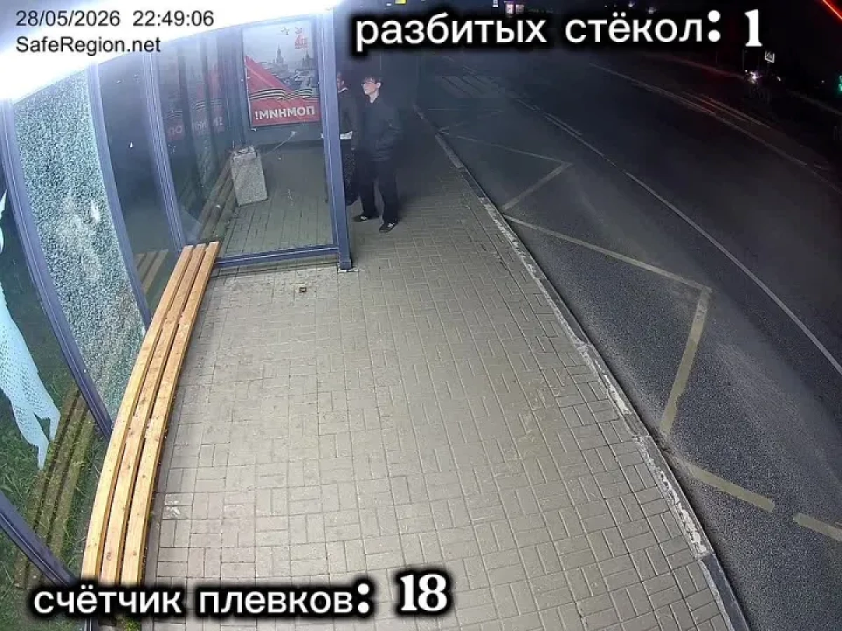 18 плевков и разбитая &laquo;Яостановка&raquo;: родителям юных вандалов предъявят счет