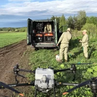 Ярославский губернатор назвал отстающих по обработке территорий от борщевика&nbsp;
