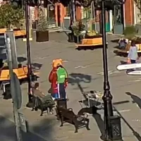 В Ярославле полиция ищет вандала за порчу медведей в пешеходном центре
