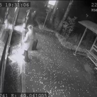 Ярославец заплатит 150 тысяч рублей за удар в лицо подростку