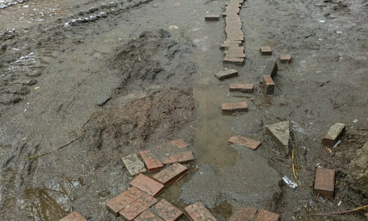 «Иностранные студенты фотографируют»: ярославцы пристыдили власти за тротуар из грязи «Иностранные студенты фотографируют»: ярославцы пристыдили власти за тротуар из грязи