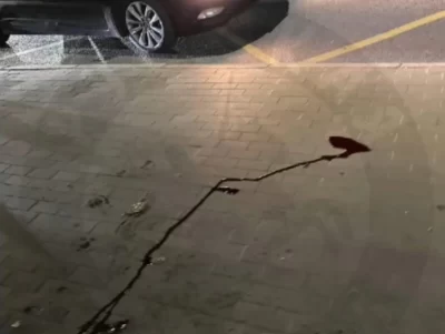 Избиение пассажира «Яавтобуса»  за попытку отсканировать QR-код закончится судом