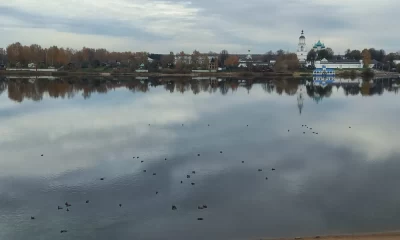 Ученые обнаружили в Волге десять новых для реки видов рыб