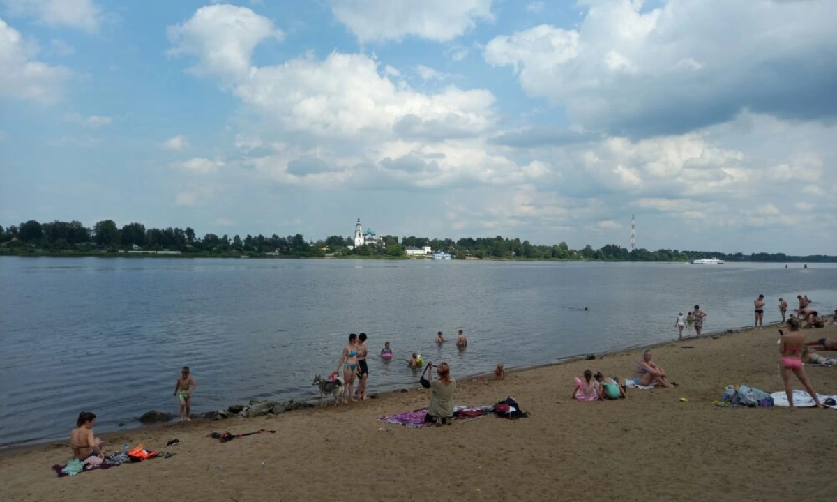 Оштрафованные за купание у Павловской рощи ярославцы написали коллективное обращение Оштрафованные за купание у Павловской рощи ярославцы написали коллективное обращение