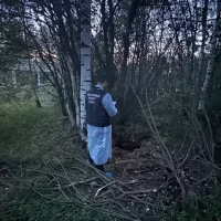 Ярославский суд оставил в силе приговор чиновнице по делу о гибели ребенка в колодце