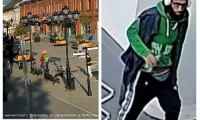 В Ярославле нашли вандала, повредившего фигуру медведя в пешеходном центре