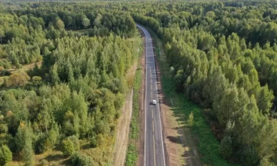 В Ярославской области установят въездные стелы с 3D медведем