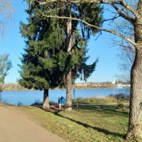 В Ярославле хотят выделить зону ограниченного использования в Павловской роще