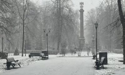 В Ярославль пришли снегопады и метели