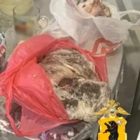 Изъяты камеры с мясом: в Ярославской области задержали двух браконьеров