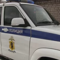 Ярославец в пьяном угаре отобрал у пенсионерки пакет с продуктами