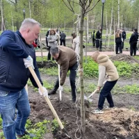 В Петропавловском парке высадили деревья согласно исторического дендра плана