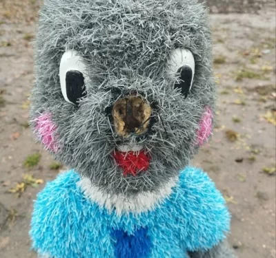 В Ярославской области глава пообещал поймать вандалов, повредивших зайца