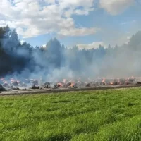 Рулоны сена вспыхнули сразу в двух округах Ярославской области