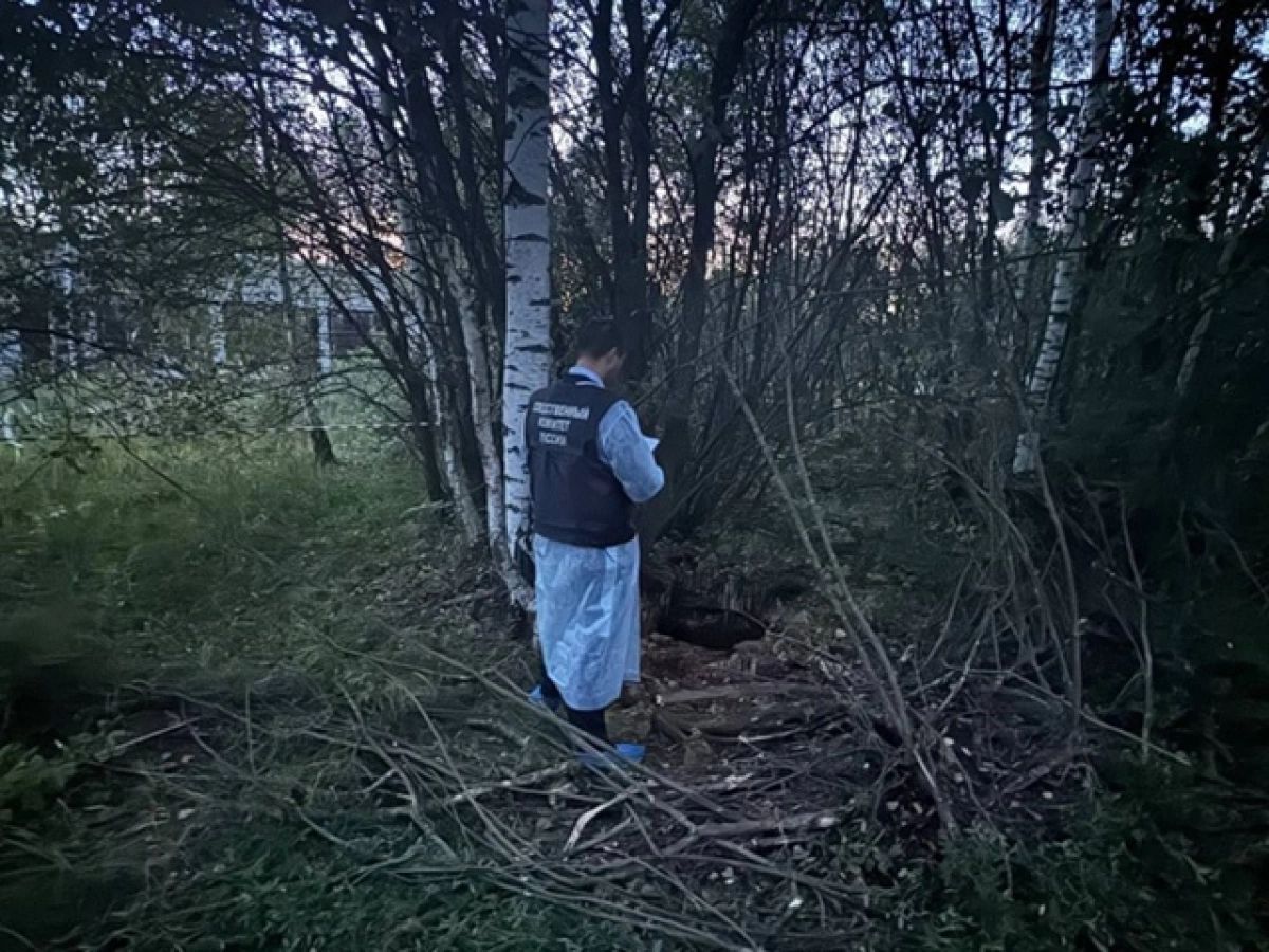 Ярославский суд оставил в силе приговор чиновнице по делу о гибели ребенка в колодце Ярославский суд оставил в силе приговор чиновнице по делу о гибели ребенка в колодце