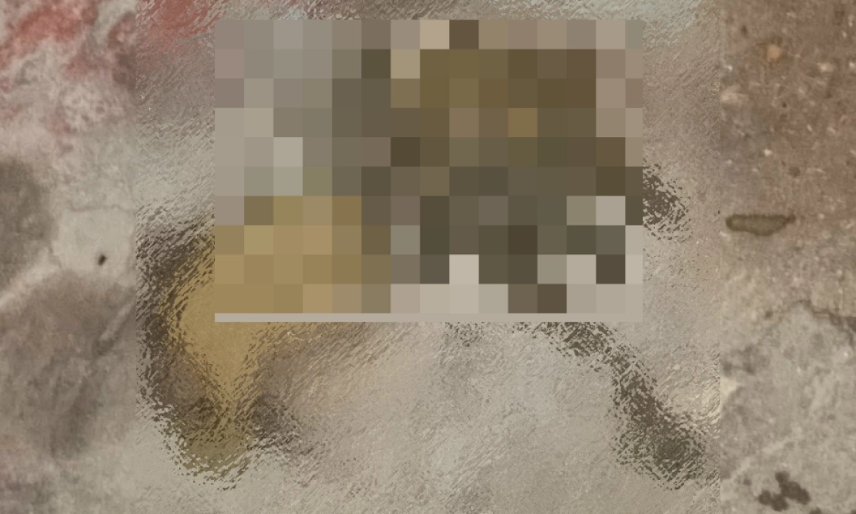 В Ярославле жильцы девятиэтажки жалуются на соседку с недержанием