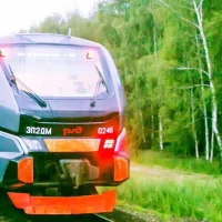 В Ярославле пожилая пассажирка электрички попалась на краже сумки