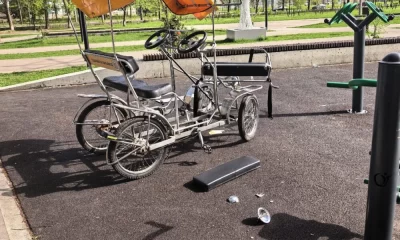 В&nbsp;Юбилейном парке Ярославля произошло необычное &laquo;ДТП&raquo;