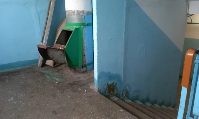 В Дзержинском районе Ярославля выберут самый страшный подъезд