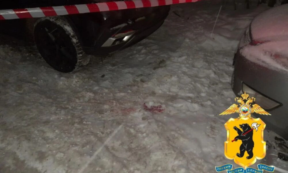 Силовики раскрыли подробности громкого убийства на почве ревности в Рыбинске Силовики раскрыли подробности громкого убийства на почве ревности в Рыбинске