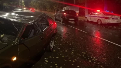 Ярославцы, находившиеся в поврежденном упавшим деревом авто, судятся с мэрией