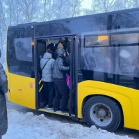 В Ярославле назвали автобусные маршруты, лидириующие по числу жалоб