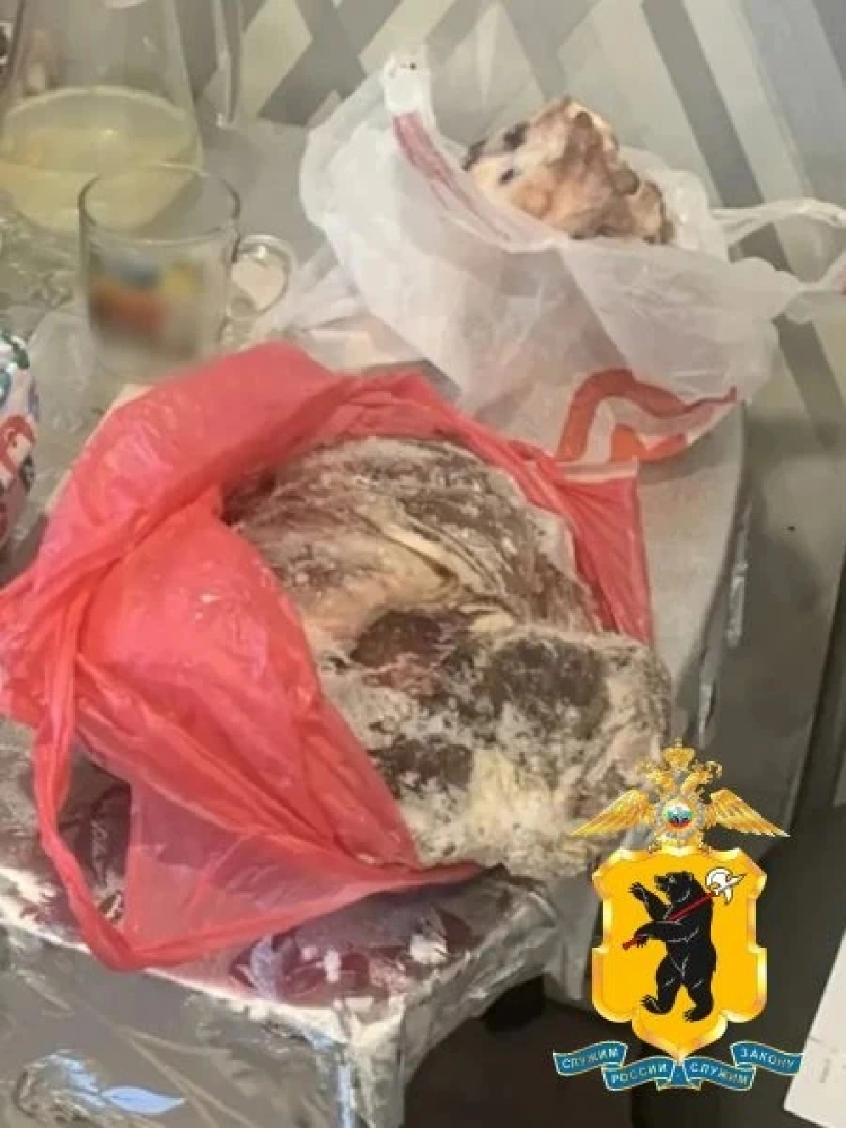 Изъяты камеры с мясом: в Ярославской области задержали двух браконьеров Изъяты камеры с мясом: в Ярославской области задержали двух браконьеров