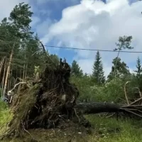 В Ярославской области населенные пункты обесточены после грозы