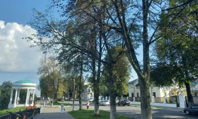 Кража в торговом киоске на Стрелке: задержана подозреваемая