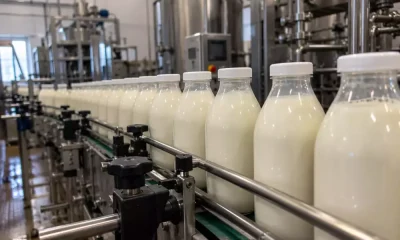 В&nbsp;ярославском молоке обнаружили кишечную палочку
